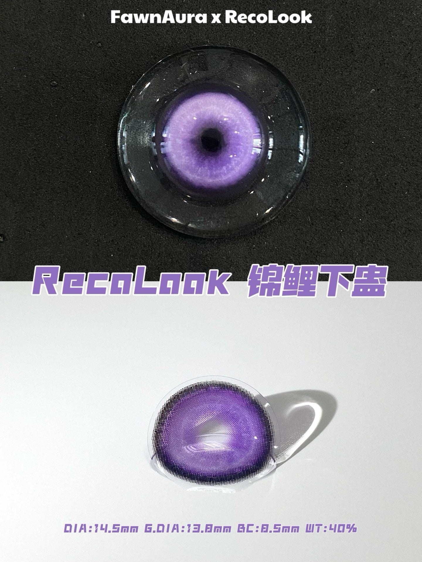 Koi Violet Contact Lenses | 6 month